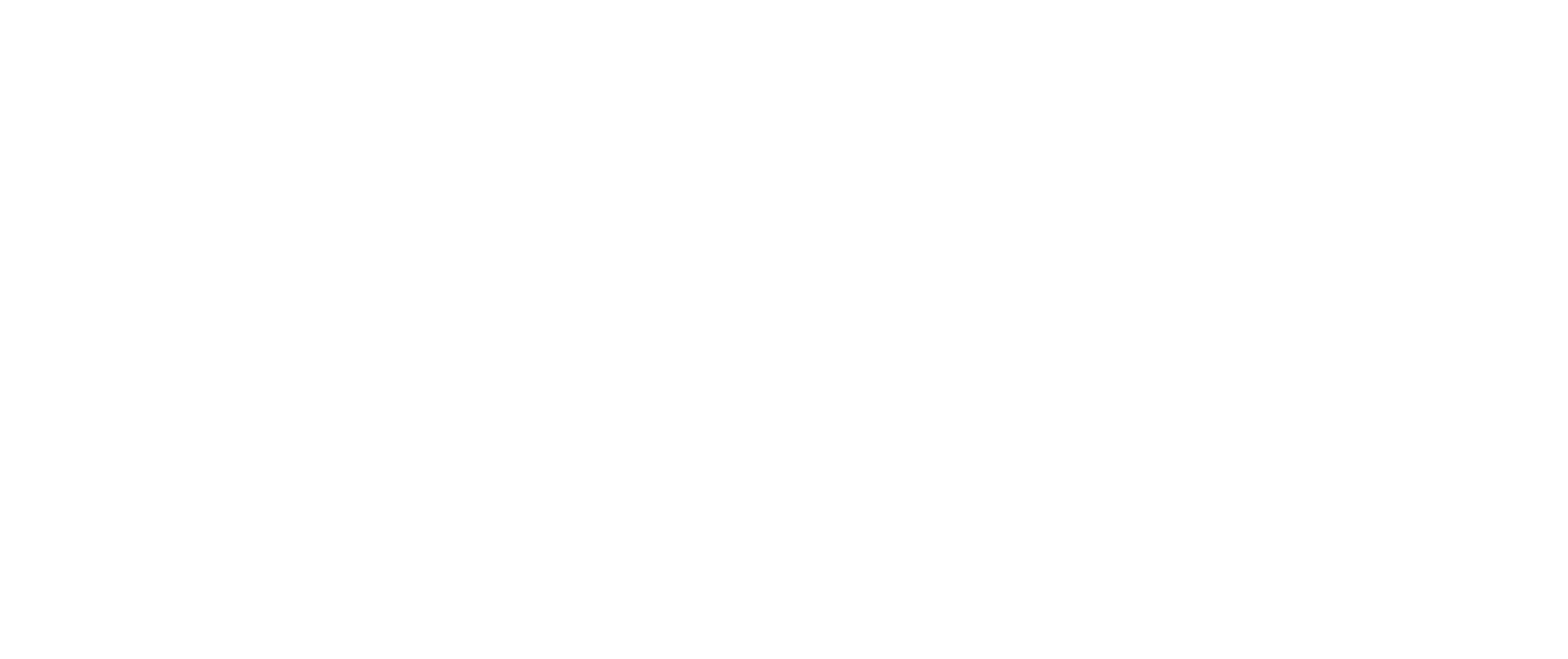 geise research group logo